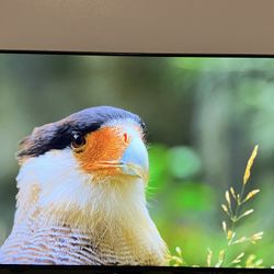 TV LG NANO CELL 4K ultra HD AI THINQ 55inches