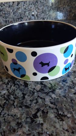 Signature Large Polkadot Dog Bowl