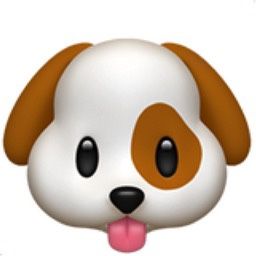 Puppies