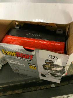 Everstart AGM Platinum power sport battery