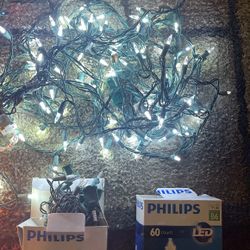 Christmas Lights 