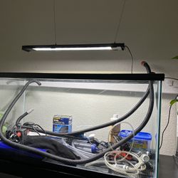 Aquarium 40 Gal Complete Kit 