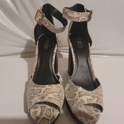 Charlotte Russe Ladiea Shoes 