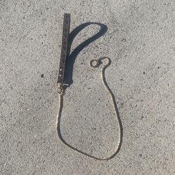Dog Lead 