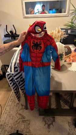 Spider-Man costume