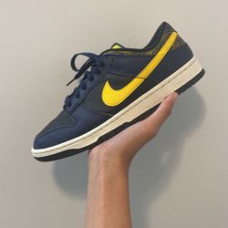 Size 9.5 vintage michigan low dunks