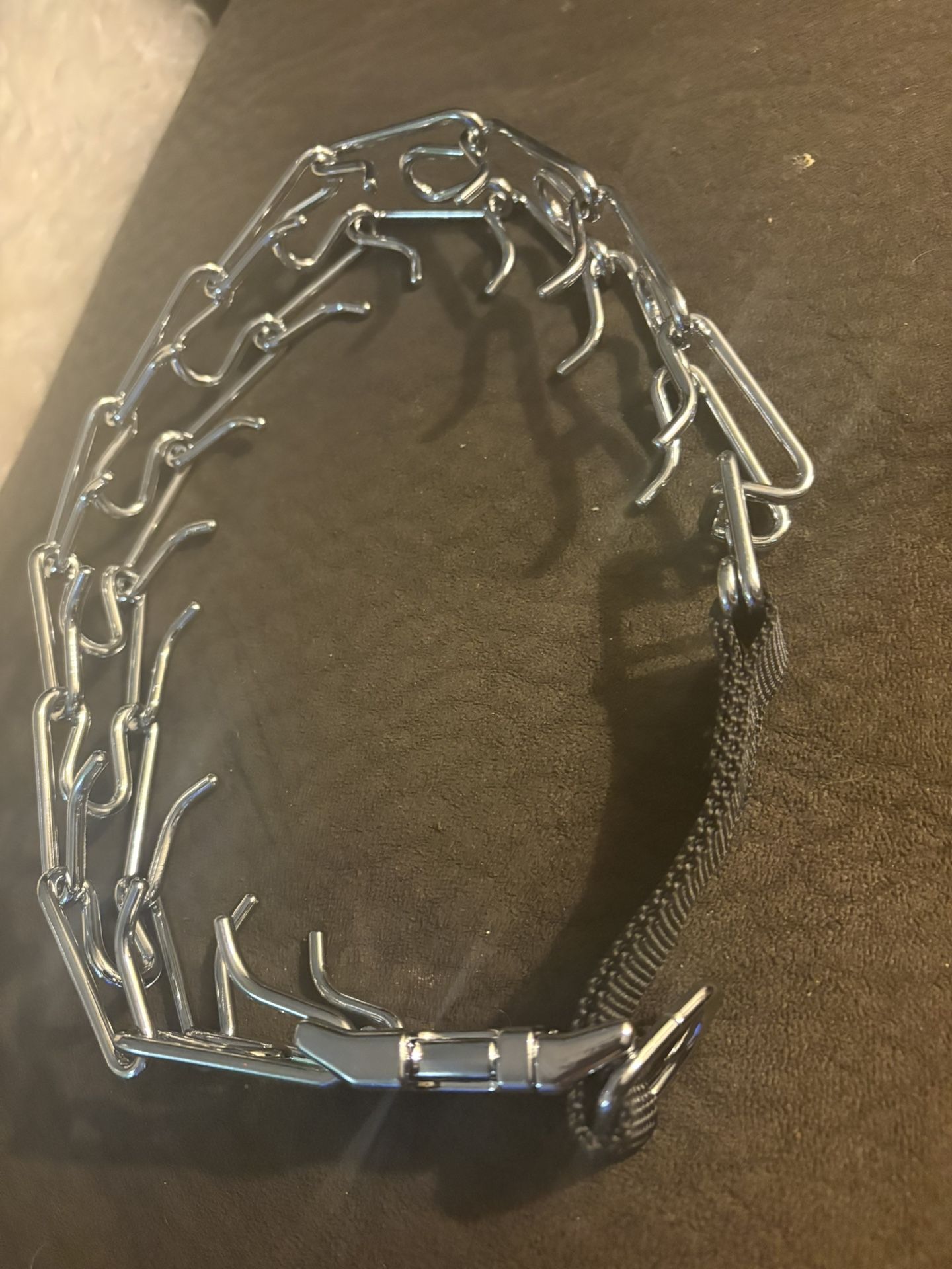 Dog Collar