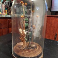 Vintage Glass Dome $15.00