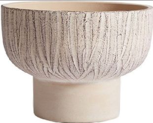Plant Pot