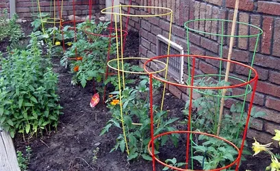 Heavy-Duty Tomato Cage