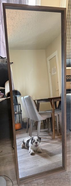 Full Length Floor Mirror Wood Frame