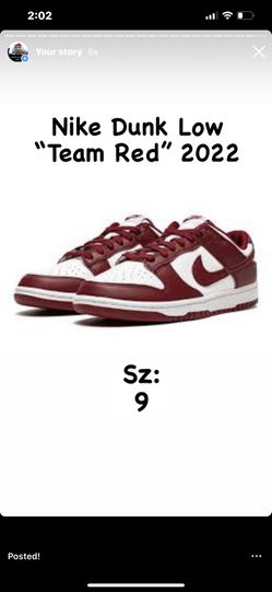 Nike Dunk Low Team Red (20220 Sz 9