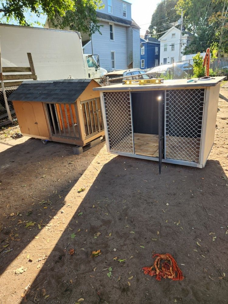 Cage Dog