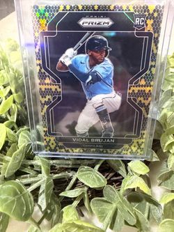 /50!! Snakeskin Vidal Brujan Panini Prizm SSP Rookie Card Tampa Bay