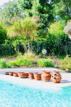 All 8 terracotta pots for $150