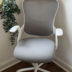 Ergonomic Office Computer Desk Chair White Gray