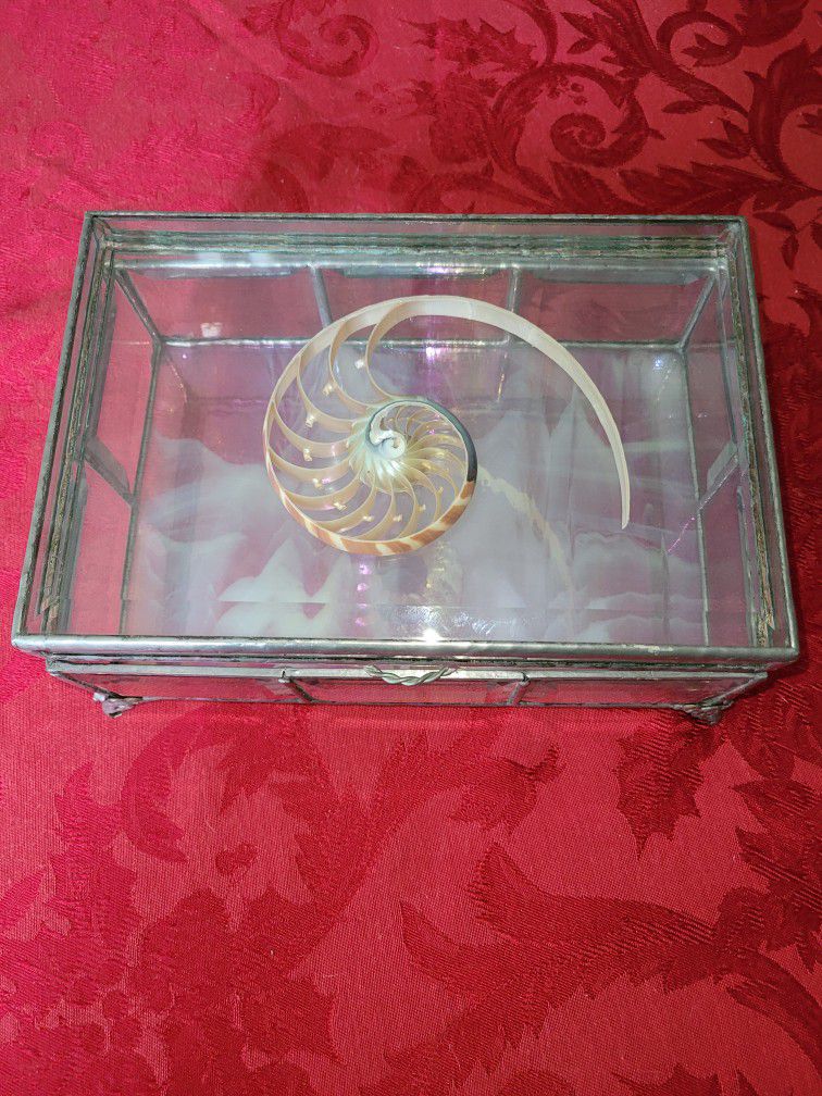 Vintage Glass Curio/Jewelry  Box
