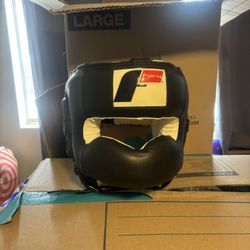 Fighting Headgear