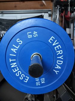Olympic 45lb Pair Plates