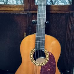 Takamine G116 Classical Guitar With New Bag