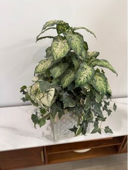 Artificial Plant + Square Planter