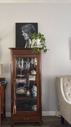 Pothos plant