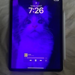 iPad Pro + iPad Pencil