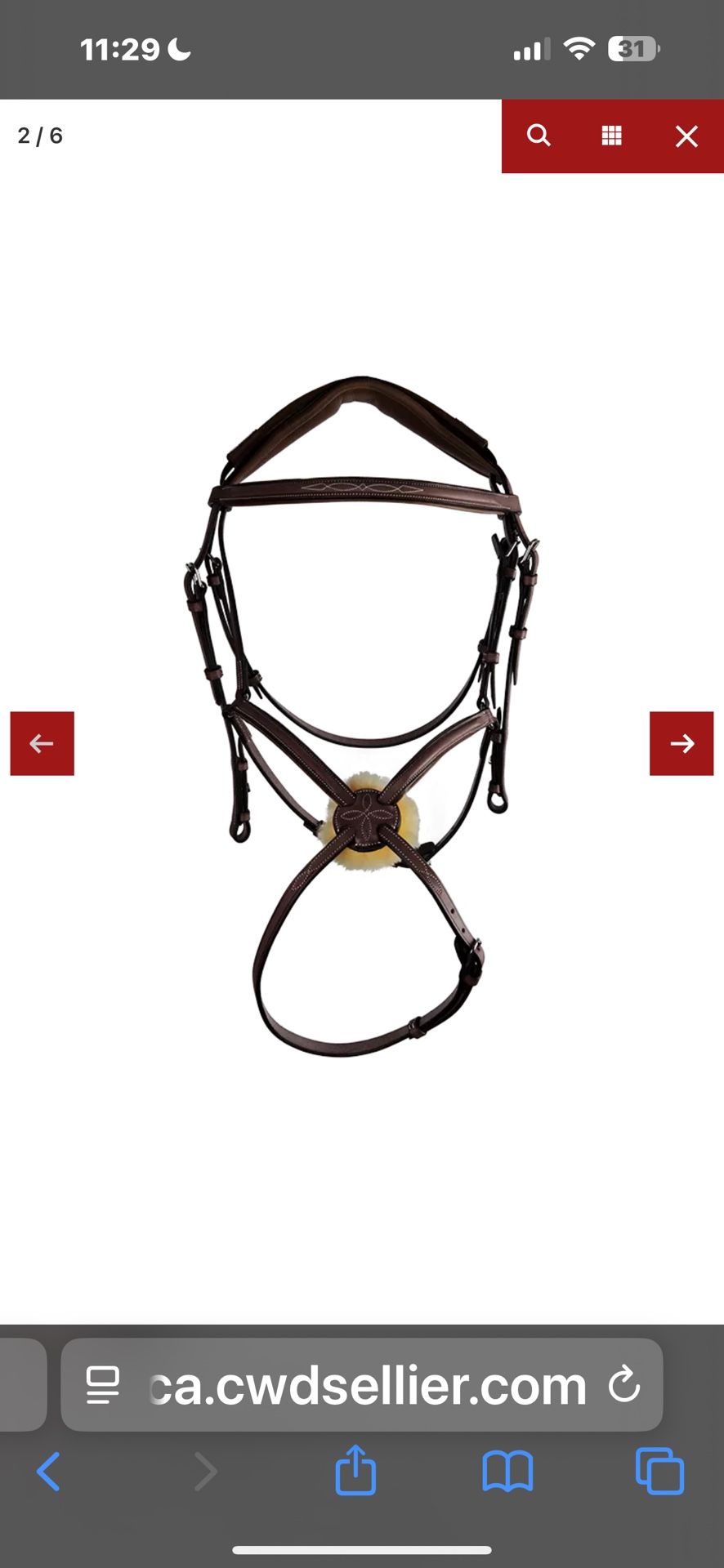 Bridle CWD Size 3