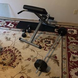 Roman Chair Plus Curl Bar And Full Dumbbell Set.