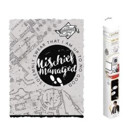 Harry Potter Marauder's Map Roomscapes 18"x24" Poster Decal USA