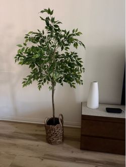 World Market Faux Tree