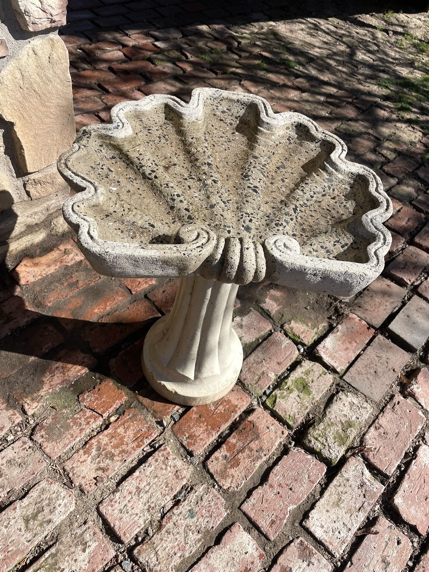 Bird Bath  - Scallop Shell 