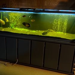 Fish Tank 125gal With Pump