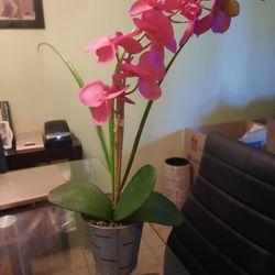 Artificial Orchid 1ft Tall 
