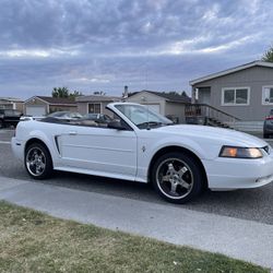 2003 Ford Mustang
