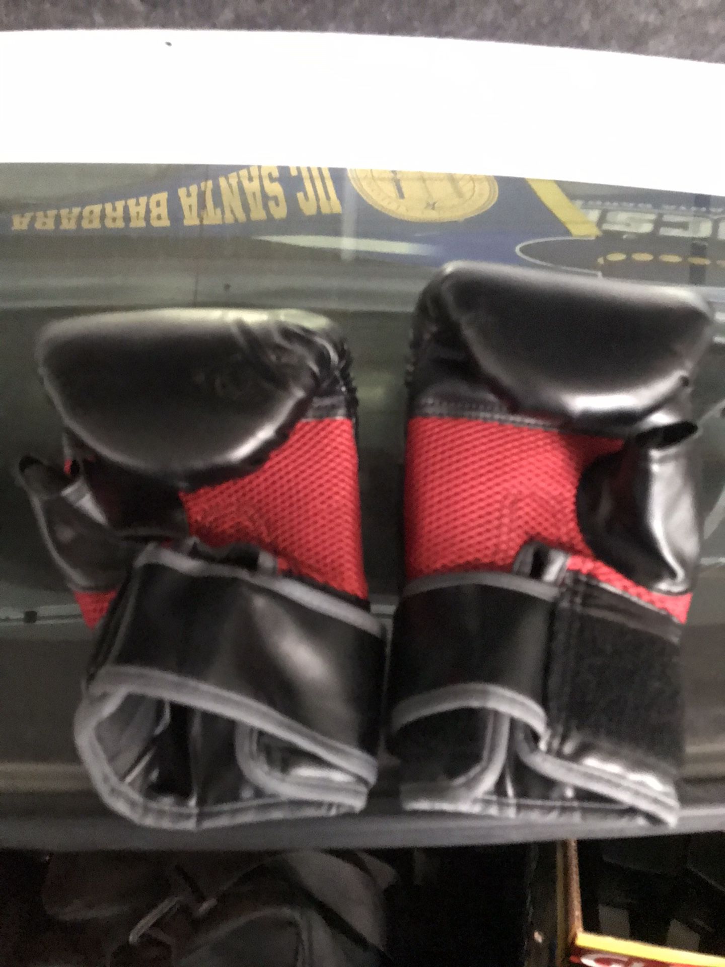 Everlast boxing gloves large