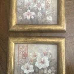 Pair Of Floral Gold-framed Pictures 