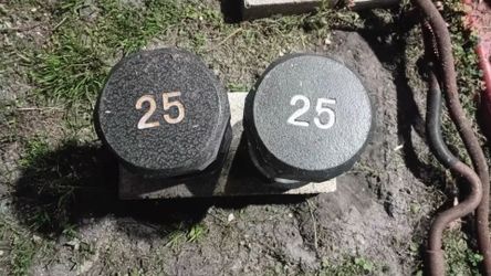 Dumbell  25lbs