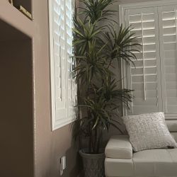 Artificial Plant 8 ft Tall