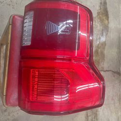 2018-2020 Genuine Ford F150 Tail light Blind Spot tail light