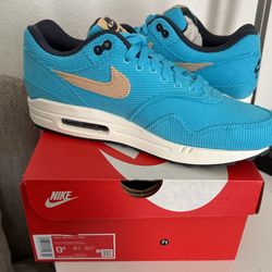 Nike Air Max 1