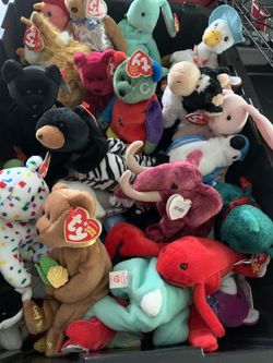 TY Beanie Babys