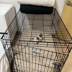 Dog Cages 2