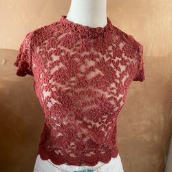 Beautiful Mauve Mesh Lace Top