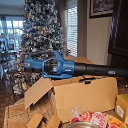 LEAF BLOWER WITH 2 BATTERIES ⁸