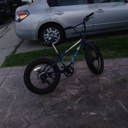 20 Inch Fat Tire Bike