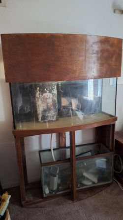 72 gallon bowfront aquarium