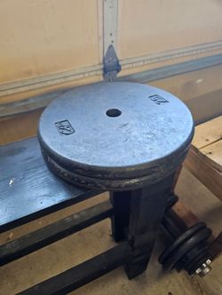 25 pound plates