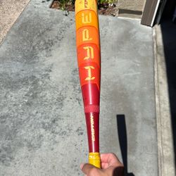 Hype Fire Baseball Bat