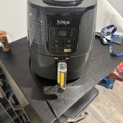 Ninja Air Fryer 